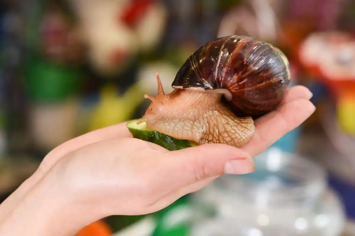 12 Melhores Animais de Estimação para Crianças: O que Considerar Antes de Escolher