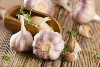 Os Poderosos Benefícios de Comer Alho: Um Tesouro para a Saúde