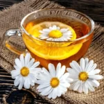Os Incríveis Benefícios do Chá de Camomila para o Seu Bem-Estar