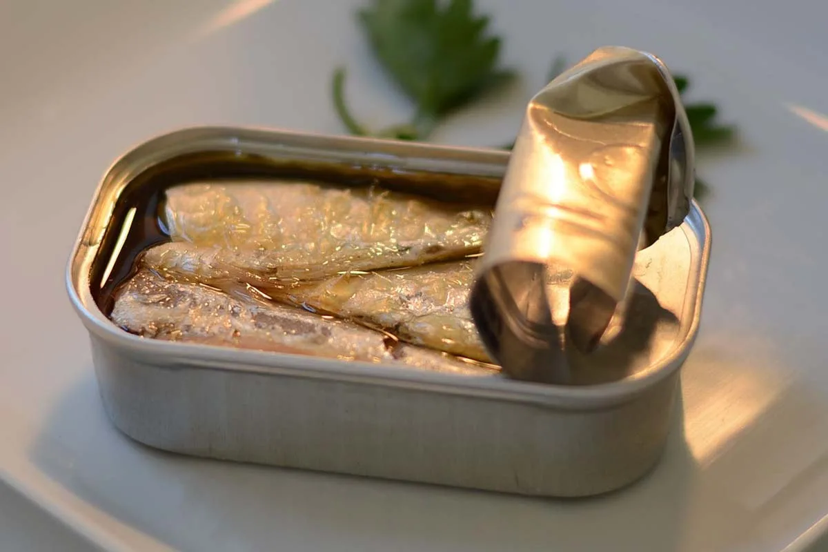 Três Produtos com Mais Cálcio que um Copo de Leite: Fortaleça Ossos e Dentes