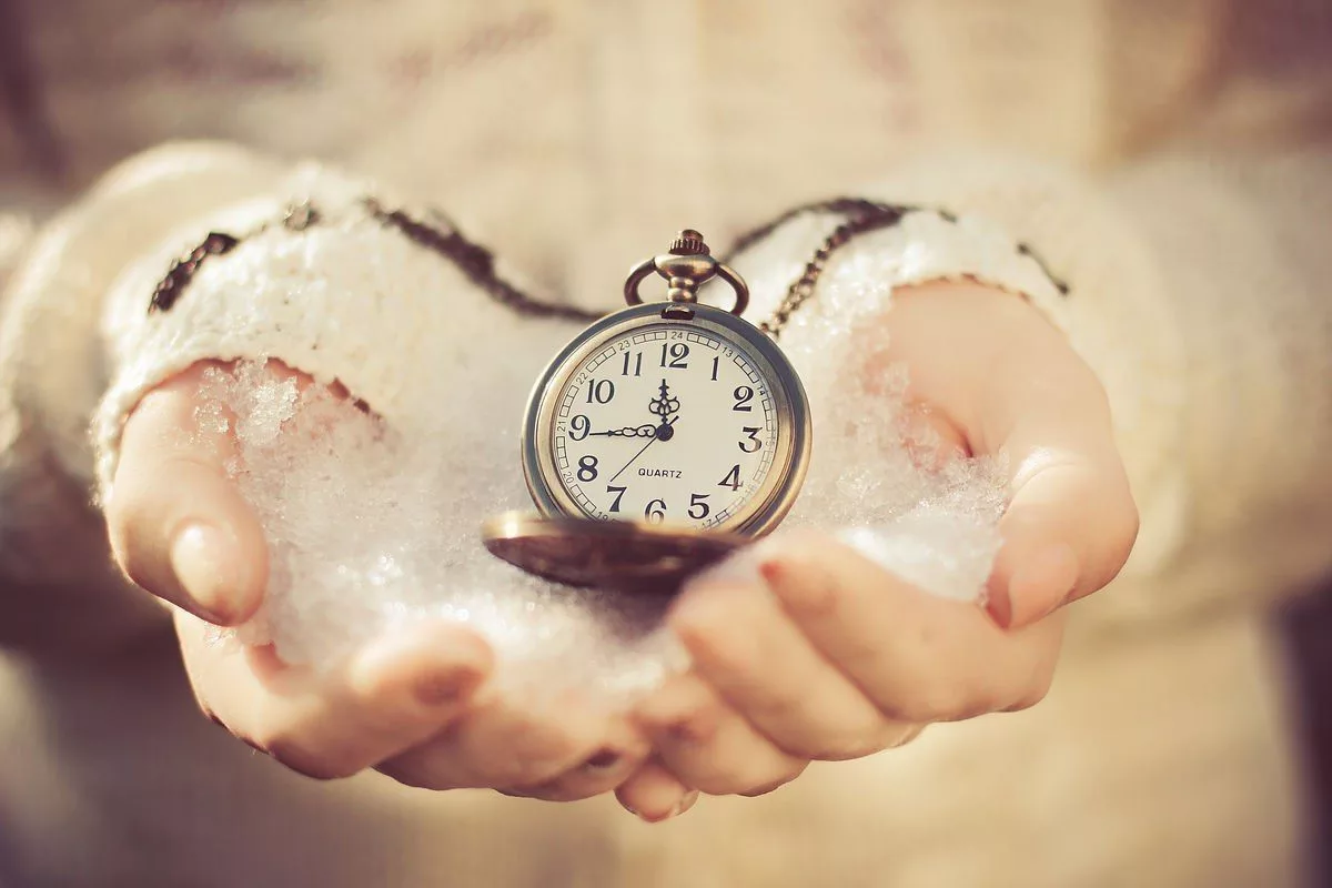 Como Acalmar um Cão Nervoso: 7 Dicas para Transformar Stress em Tranquilidade