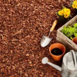 Adeus à Terra nas Macetas? A Nova Tendência que Promete Revolucionar a Jardinagem