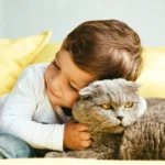 Como Fazer Criança e Gato Virarem Amigos sem Ninguém se Machucar