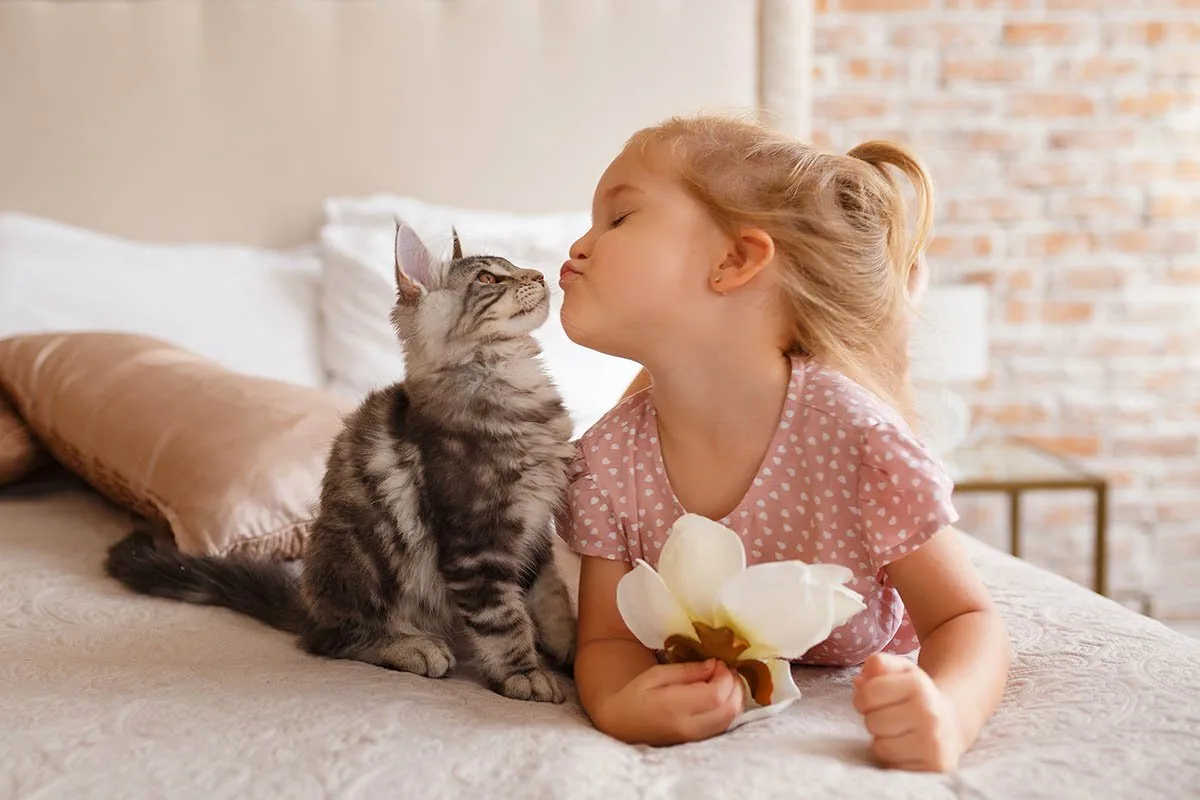 Como Fazer Criança e Gato Virarem Amigos sem Ninguém se Machucar