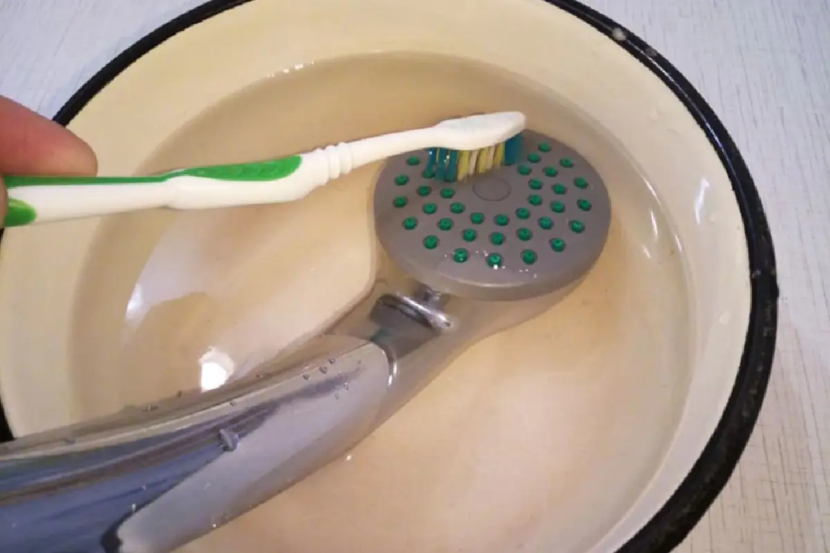 Como Limpar a Chuveiro de Forma Rápida e Natural: Adeus às Bactérias