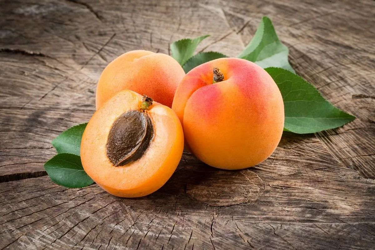 Suco de Damasco Caseiro e Vibrante para o Outono