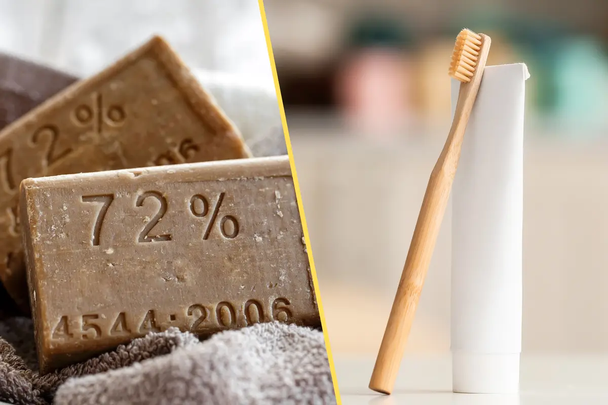 Como Eliminar Baratas da Cozinha com Pão: Uma Armadilha Caseira e Eficaz