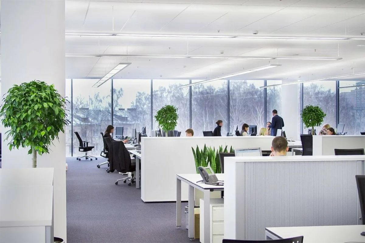 Três Ideias Simples para um Escritório Mais Saudável e Equilibrado