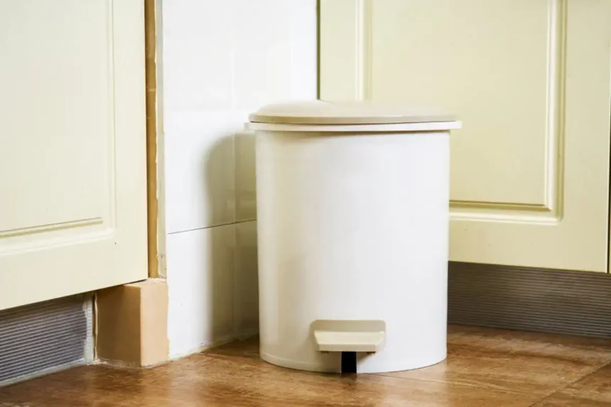 Feng Shui em Casa: Onde Colocar o Lixo para Atrair Harmonia e Energia Positiva