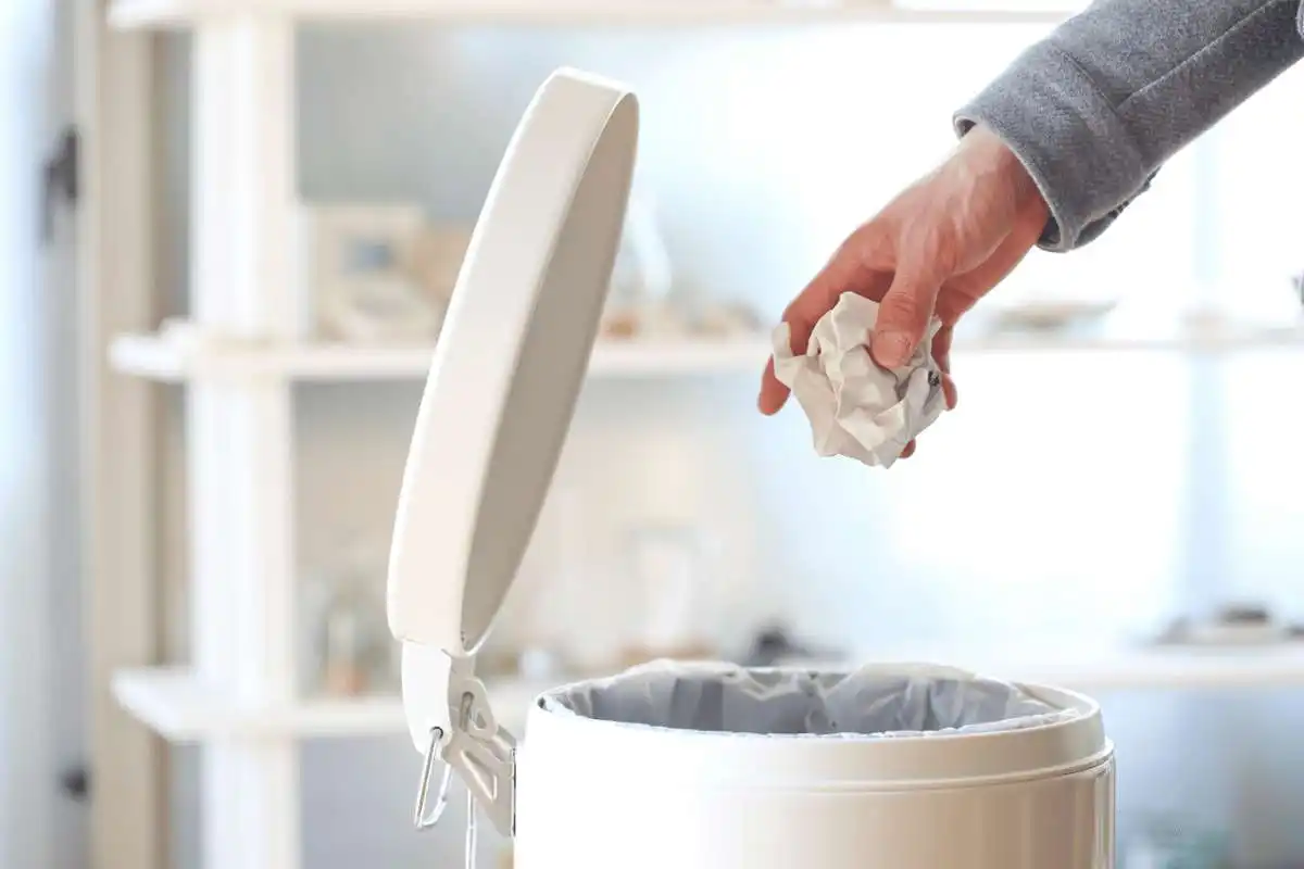 Feng Shui em Casa: Onde Colocar o Lixo para Atrair Harmonia e Energia Positiva