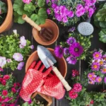 As 10 Flores Mais Bonitas de Novembro: Alegria Outonal para Jardins e Interiores