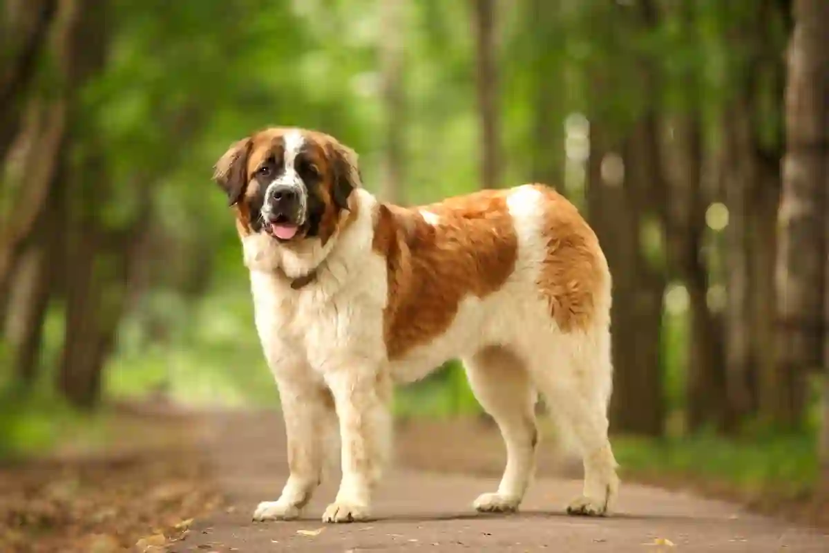 Como Evitar Discussões na Relação: 7 Formas Horríveis de Terminar que Deves Evitar