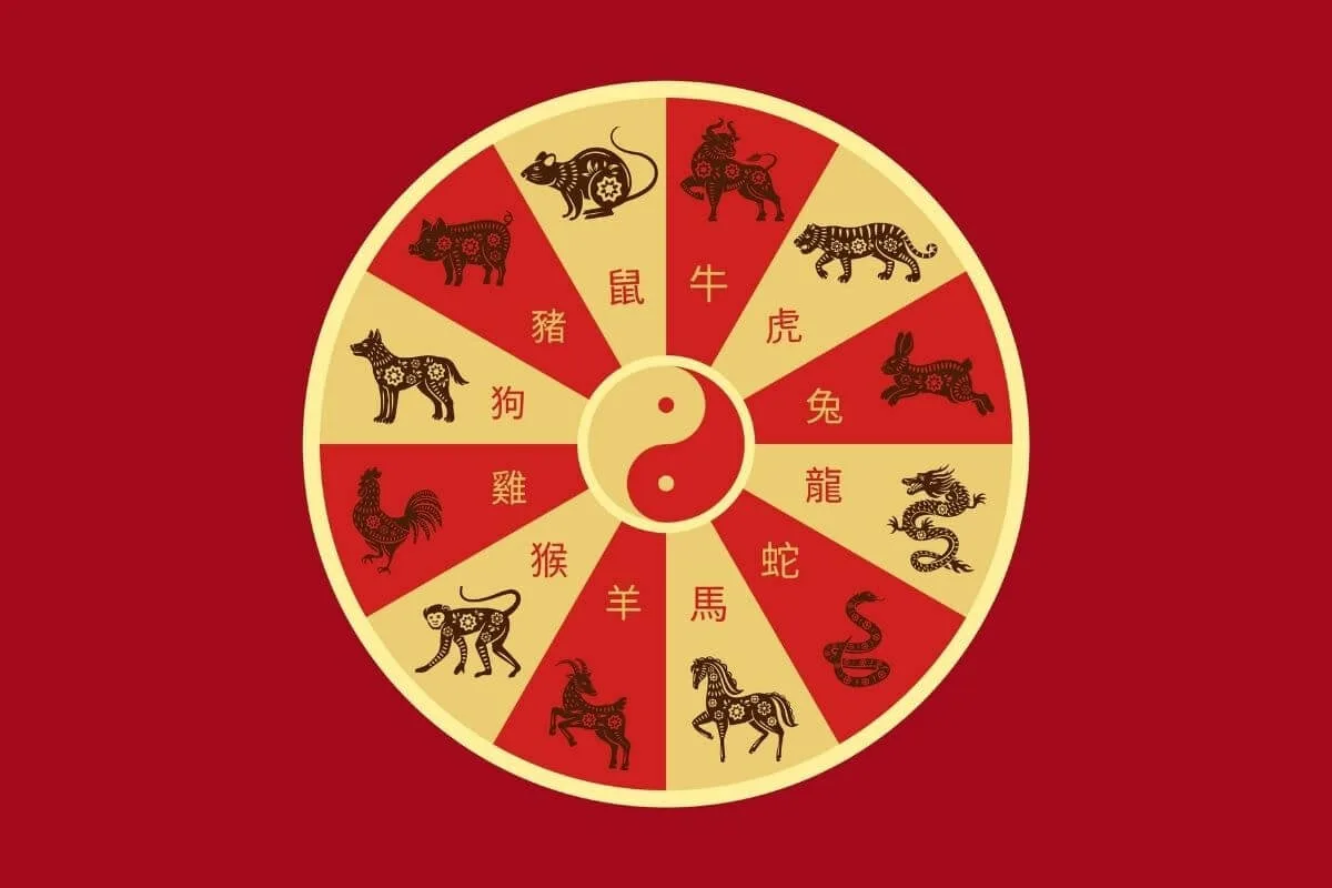 Viagens e Dinheiro Extra: Signos do Horóscopo Chinês que Terminarão o Ano em Movimento