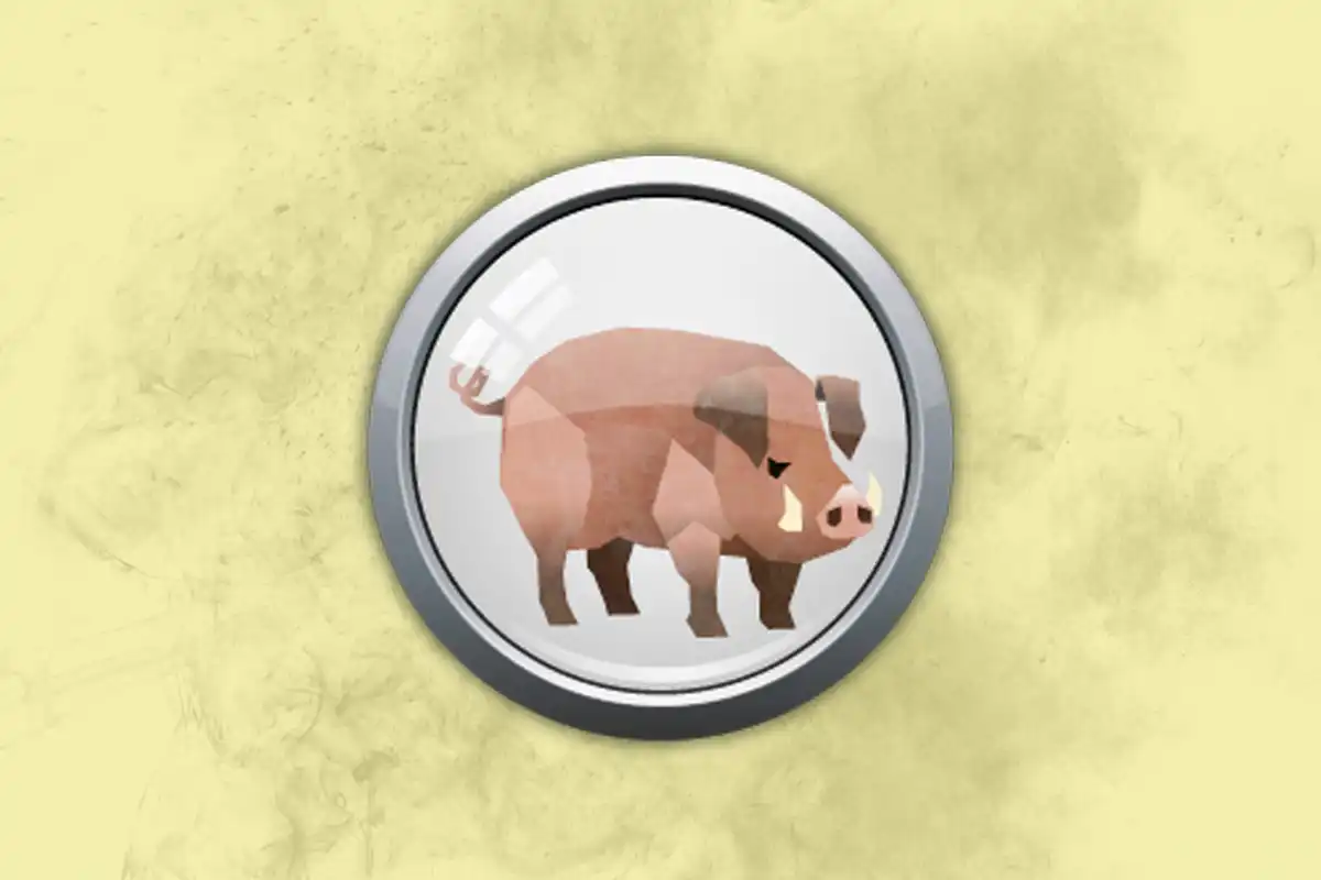 Viagens e Dinheiro Extra: Signos do Horóscopo Chinês que Terminarão o Ano em Movimento