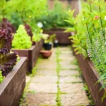 3 Coisas que Provavelmente Tens em Casa para Começar a Tua Horta no Jardim