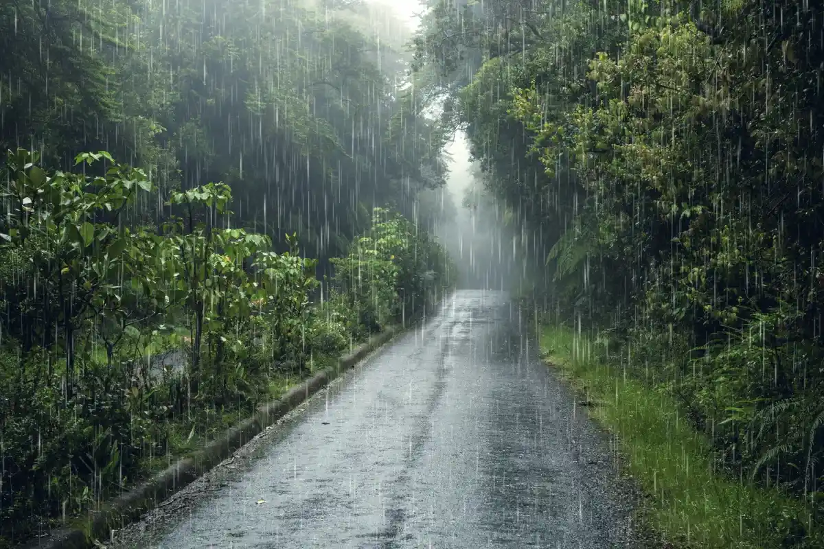 O que significa gostar de ouvir o som da chuva, segundo a psicologia?