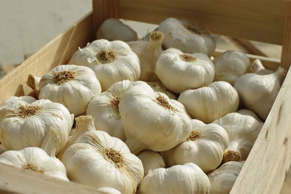 Como Limpar Alho de Forma Simples: 3 Métodos Recomendados por Especialistas