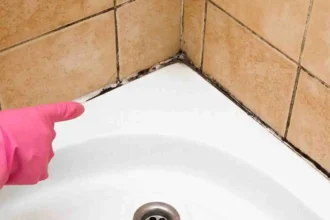 Como Limpar o Prato de Duche e Dizer Adeus ao Mofo e às Juntas Negras