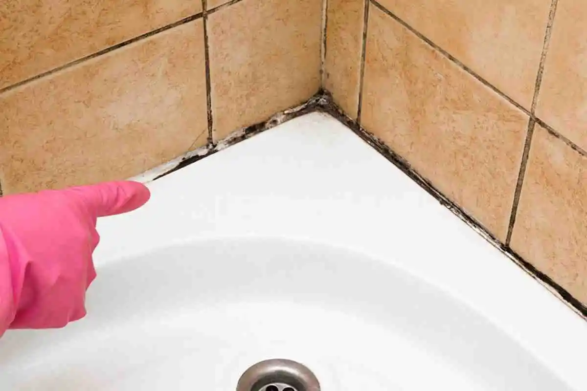 Como Limpar o Prato de Duche e Dizer Adeus ao Mofo e às Juntas Negras