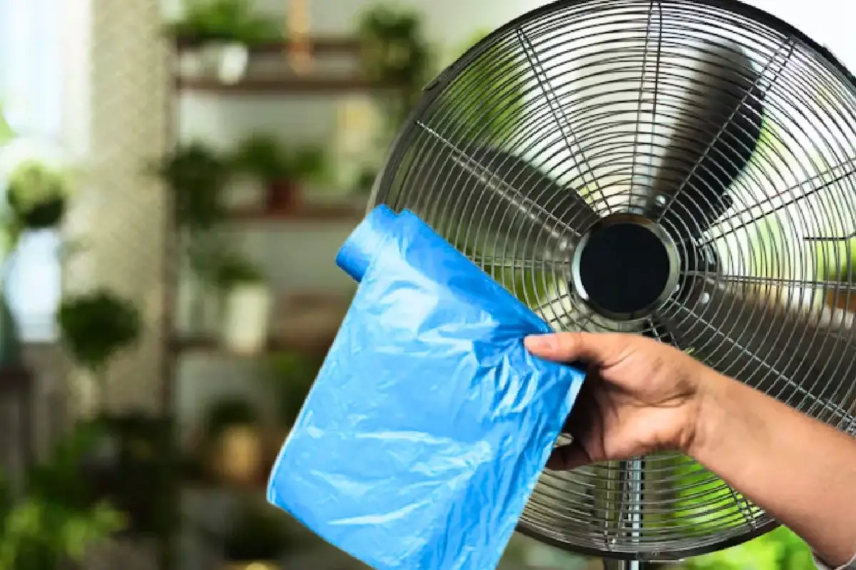 Como limpar o ventilador de casa com uma sacola plástica: truque caseiro eficaz