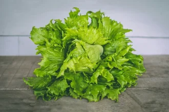 Truque Culinário: Mantenha a Alface Fresca por Mais de 60 Dias