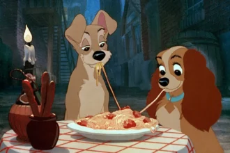 Podem os Cães Comer Massa? Veterinários Alertam para Erros Comuns