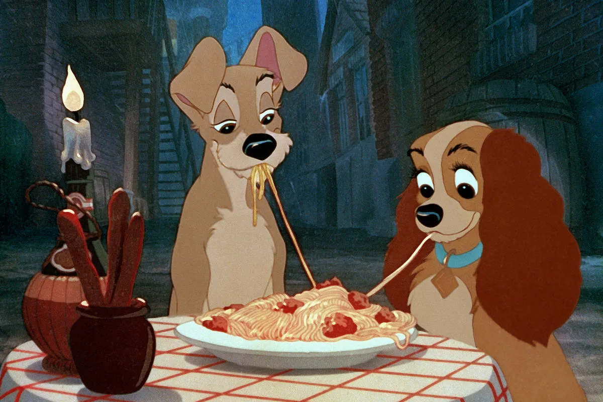 Podem os Cães Comer Massa? Veterinários Alertam para Erros Comuns