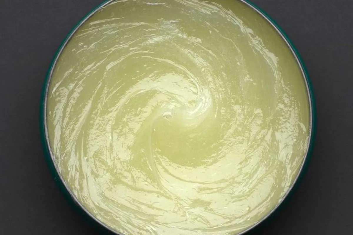 Como Medir a Temperatura do Gato Corretamente: Guia Completo