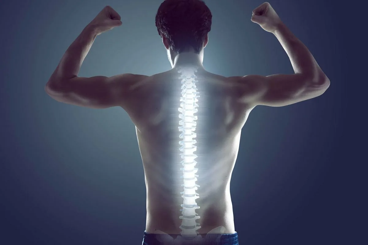 Exercícios para Corrigir a Postura Curvada e Melhorar a Saúde da Coluna