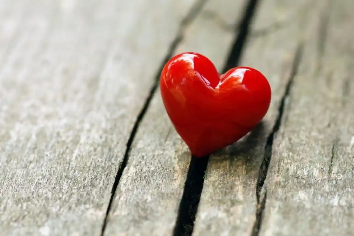 As 5 Palavras que Devem Fazer Parte das Tuas Conversas para os Teus Netos Te Ligarem Mais