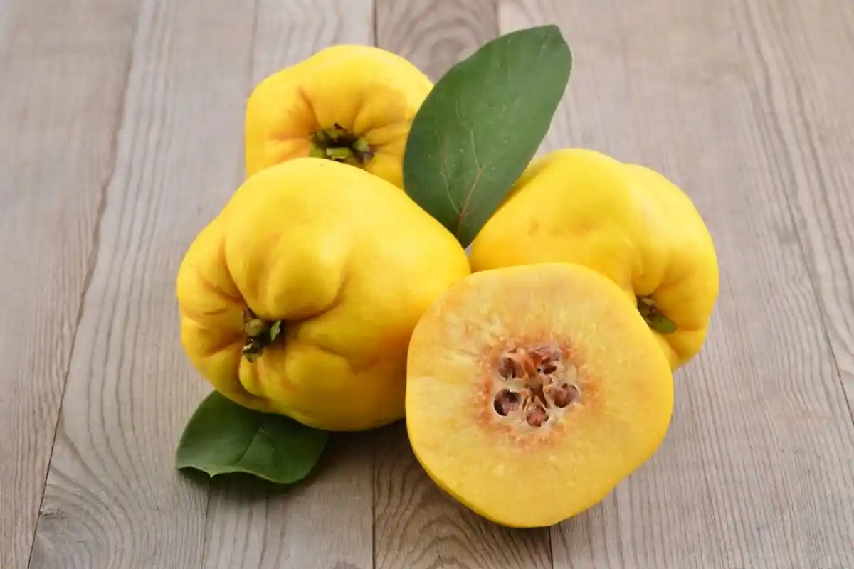 Pastila de Marmelo sem Açúcar: Uma Sobremesa Saudável e Natural