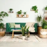 5 Plantas Pequenas e Fáceis de Cuidar que Decoram a Casa com Pouca Rega