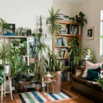 As 5 Plantas que Devem Estar na Tua Casa para Atrair Prosperidade, Segundo o Feng Shui
