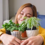 Nem Bambu nem Orquídea: As 5 Melhores Plantas para Purificar o Ar e Dormir Melhor
