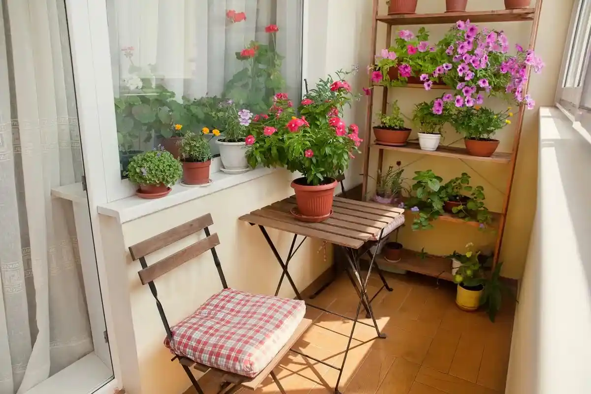 Adeus à Varanda Sem Graça: 5 Plantas para Semear em Outubro e Ter um Verão Cheio de Flores