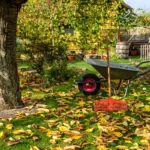 6 Plantas que Não Devem Ser Podadas no Outono, Segundo Jardineiros