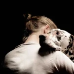 Caudas, Patas e Amor: Por Que os Pets Curam Melhor que Psicólogos