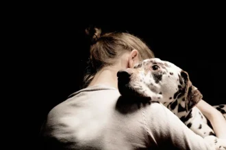 Caudas, Patas e Amor: Por Que os Pets Curam Melhor que Psicólogos