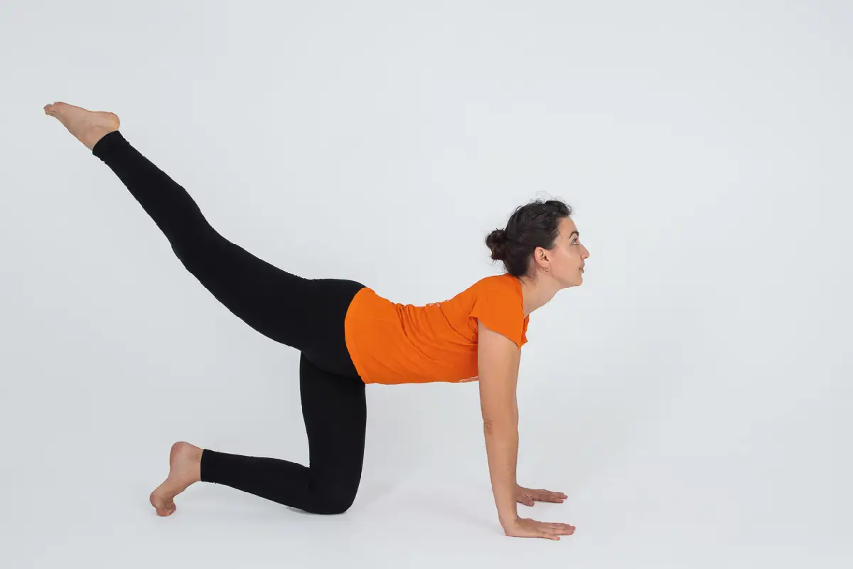 Pose do Tigre: Um Exercício de Yoga que Alonga a Coluna, Alivia Dores nas Costas e Melhora a Digestão