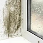 Quando Abrir as Janelas para Evitar Mofo e Condensação: O Momento Ideal