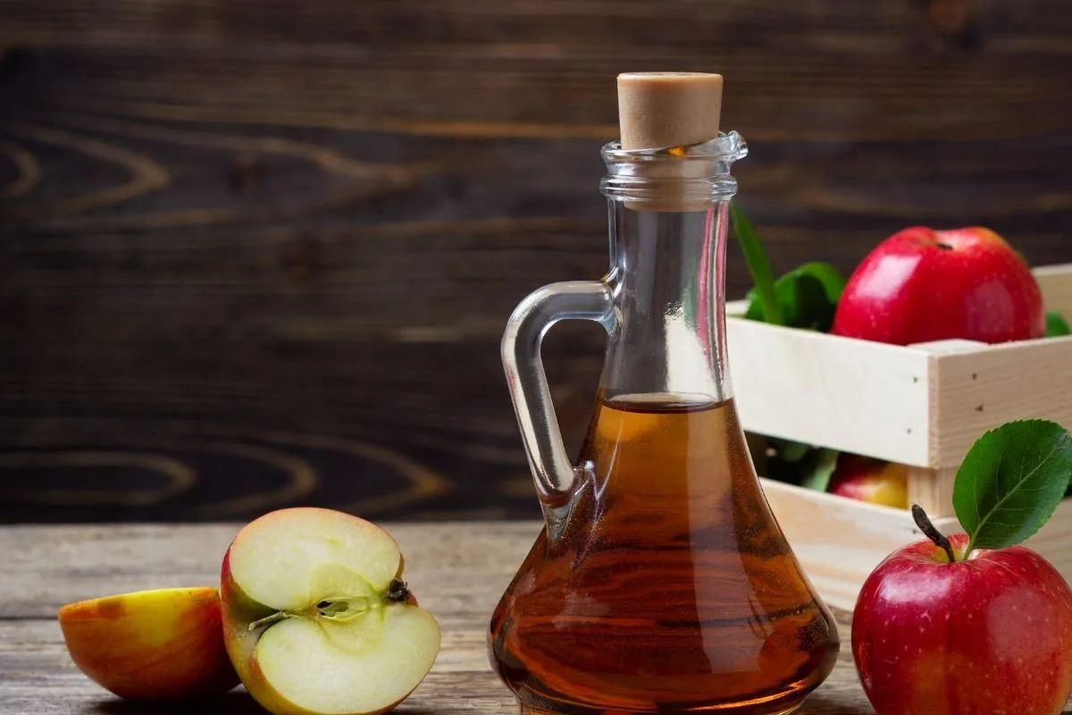 Como Proteger os Teus Animais de Pulgas com Soluções Caseiras e Naturais