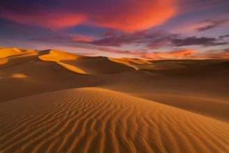 Por Que a Sahara Foi Verde e Pode Voltar a Florescer?