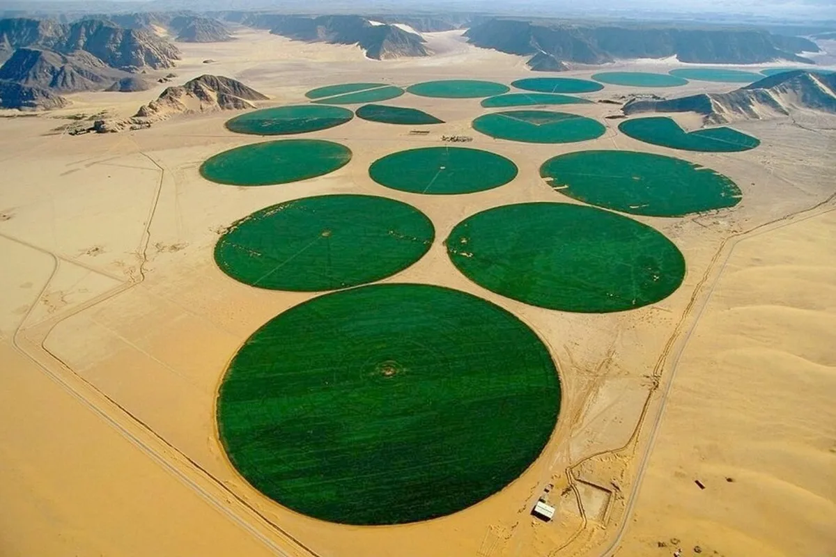 Por Que a Sahara Foi Verde e Pode Voltar a Florescer?