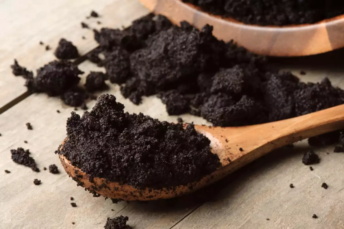 O Que Significa Quando Abelhas Constroem uma Colmeia em Casa e Como Removê-las Rapidamente