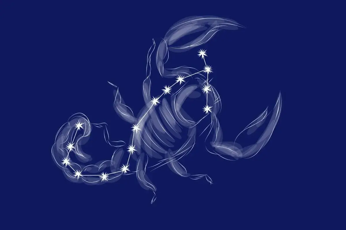 Falta Apenas um Passo para o Fim do Ano: O Que as Estrelas Prepararam para Cada Signo do Zodíaco