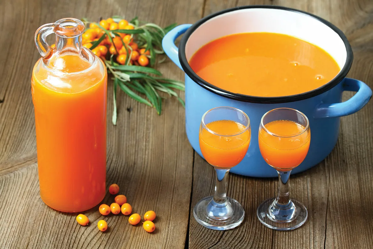 Sumo Aromático de Espinheiro-Marítimo com Mel: Uma Receita Simples e Vibrante