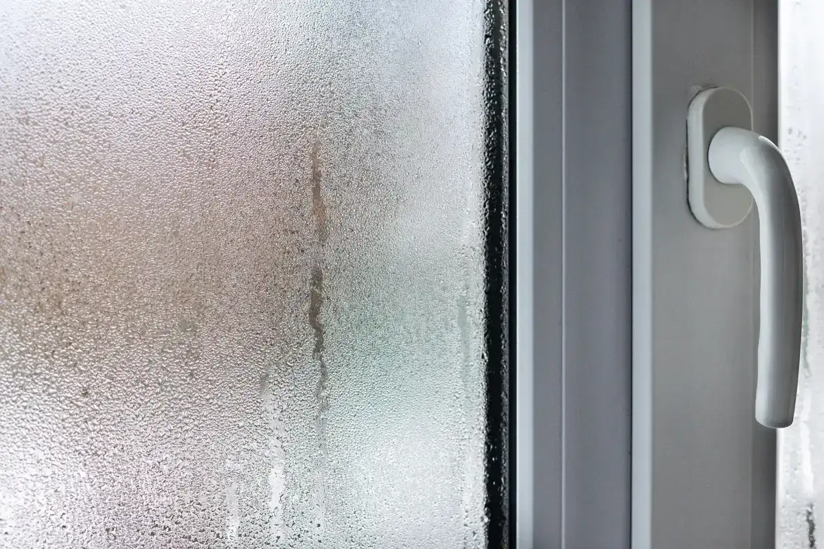 Porquê Colocar Taças de Sal nas Janelas no Outono e Inverno?