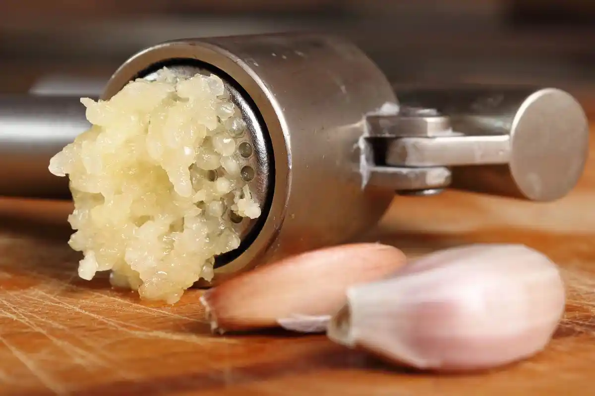 Telarañas no Jasmim: A Praga que Ameaça a Tua Planta e Como Eliminá-la