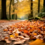 Teoria de Outubro: Por Que Este Mês é Ideal para Mudar a Vida para Melhor