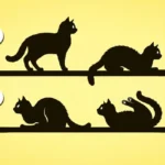 Qual é o Teu Propósito na Vida? Um Teste Rápido que Pode Transformar Tudo